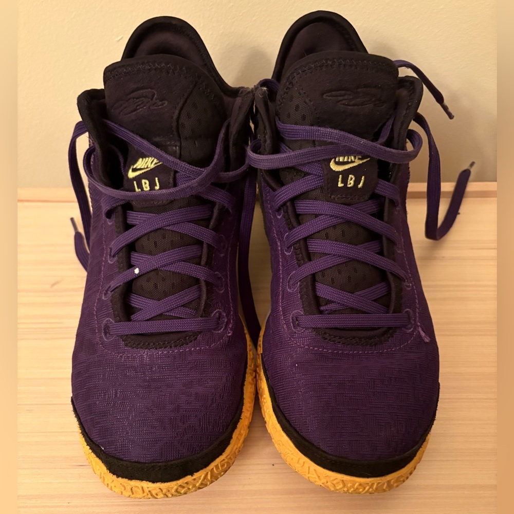 Nike LeBron Purple Sneakers